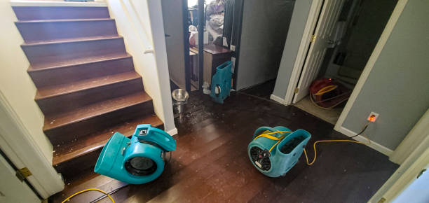 Best Basement water damage restoration  in Dickinson, TX