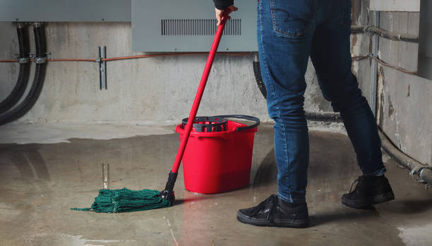 Best Fire Damage Restoration  in Dickinson, TX
