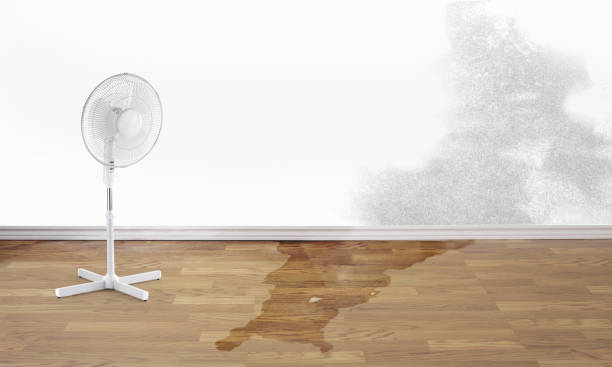 Dickinson, TX Water damage restoration Company